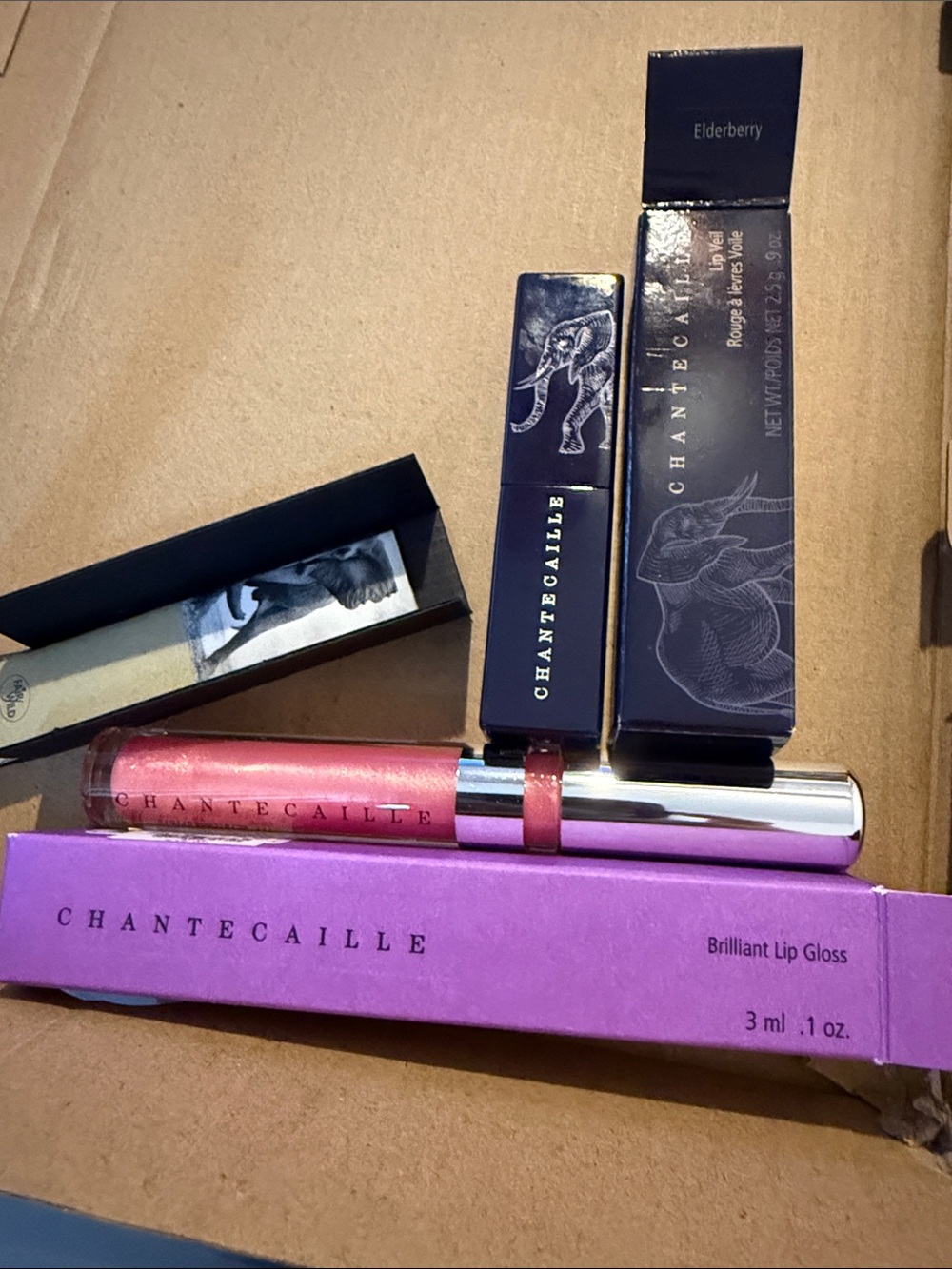 Chantecaille Brilliant Lip Gloss in Shimmery Coral Pink